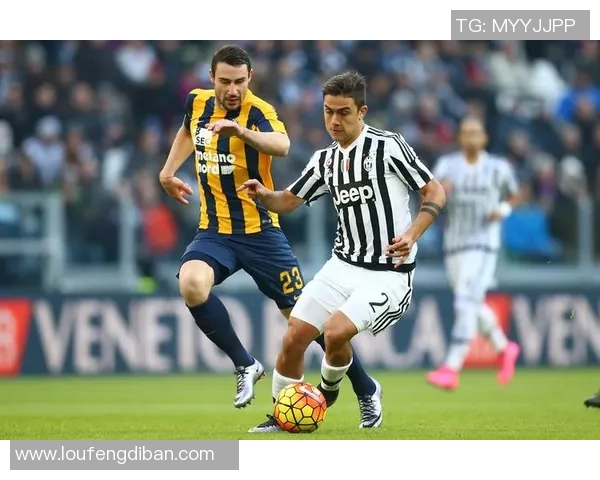 利沃诺主场迎战维罗纳争夺三分双方实力对比分析及赛前预测