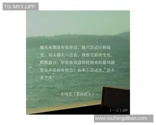 何思雨：在纷繁世界中寻找内心宁静的旅程与思考