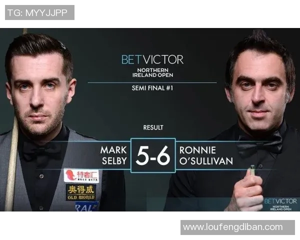 荷兰与北爱尔兰精彩对决回放分析及比赛亮点总结