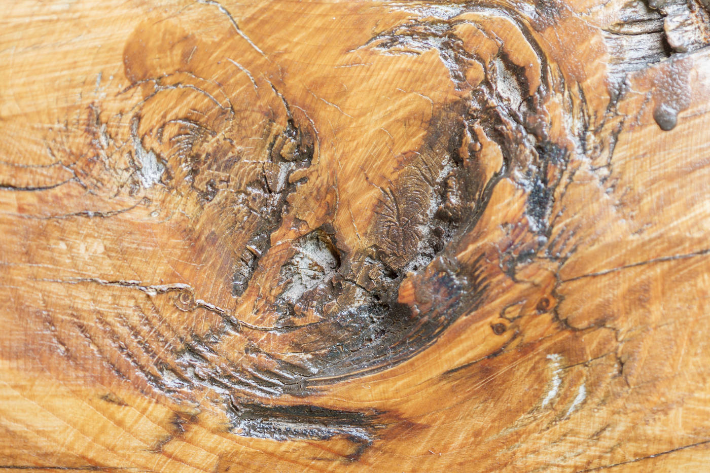海德体育：木材知识常见家具用木材信息